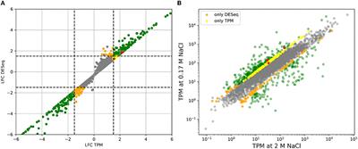 Adaptation to Varying Salinity in Halomonas elongata: Much More Than Ectoine Accumulation